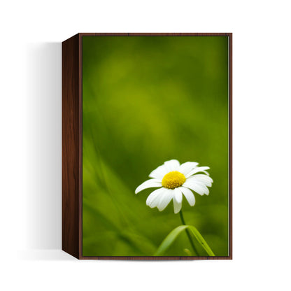 Daisy Wall Art