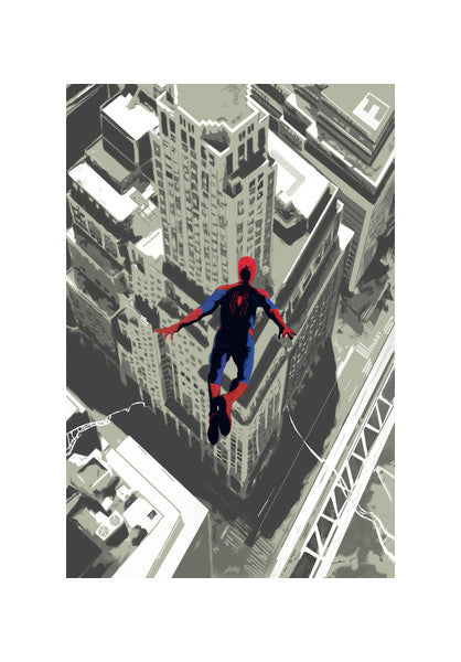 Spiderman poster Wall Art