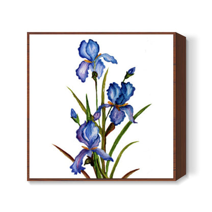 Blue Iris Square Art Print l Artist: Seema Hooda