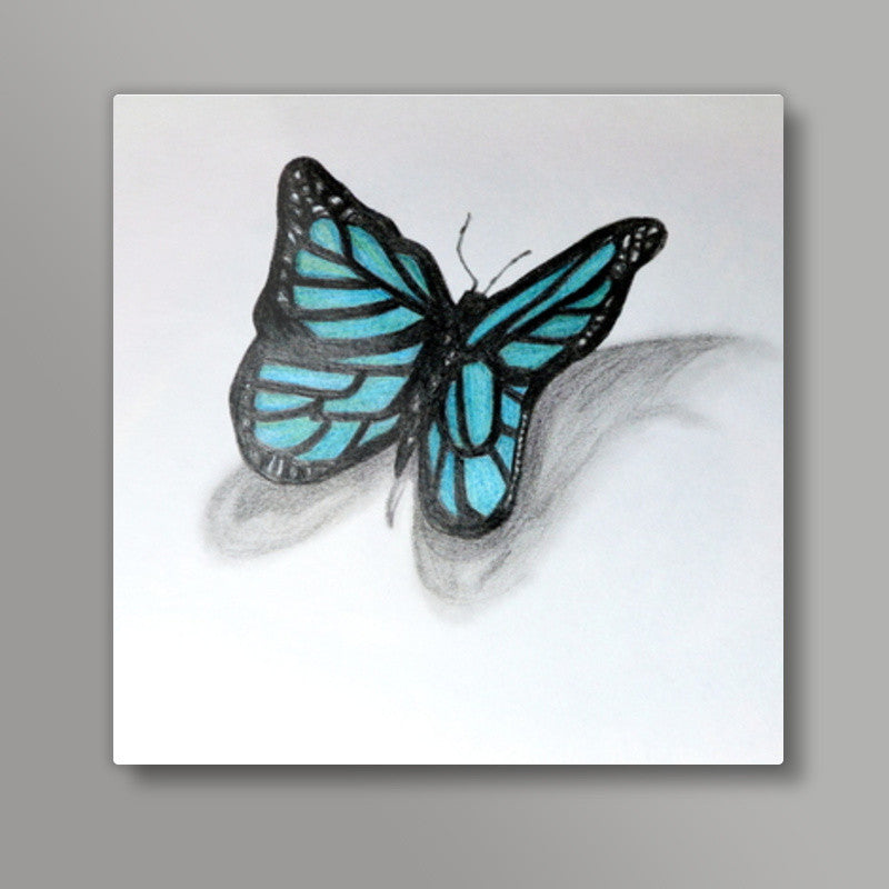 Butterfly Square Art Prints