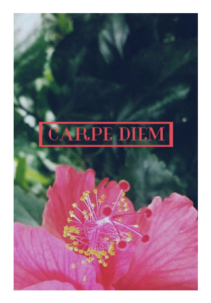 Wall Art, Carpe Diem, - PosterGully