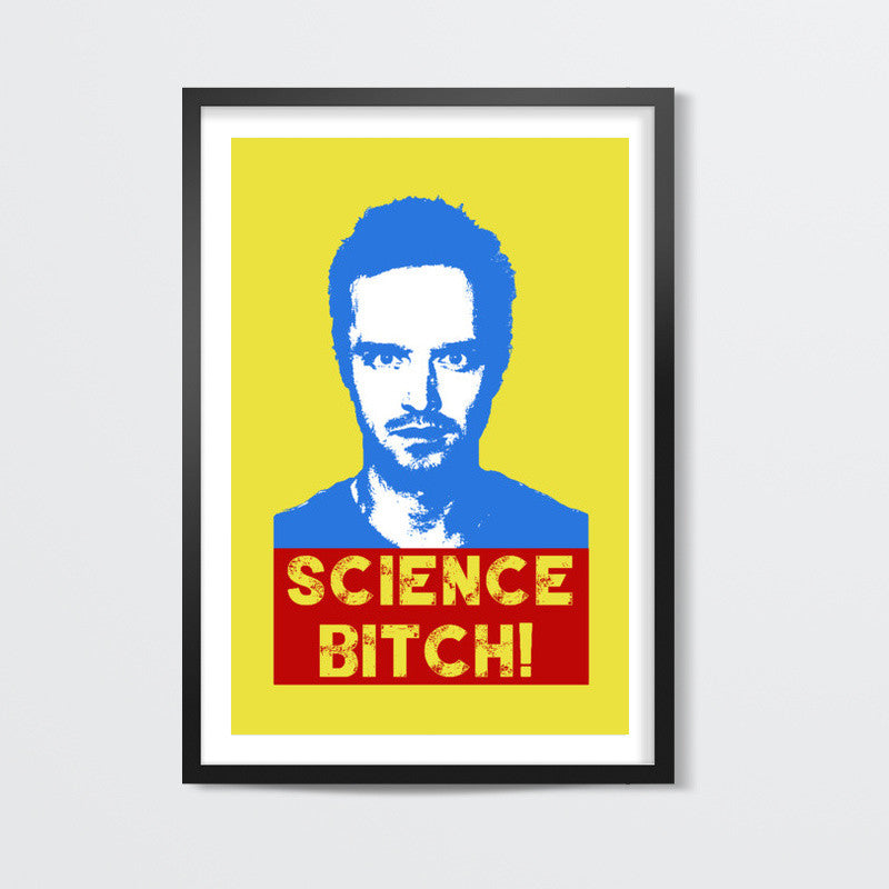 Breaking Bad - Science Bitch