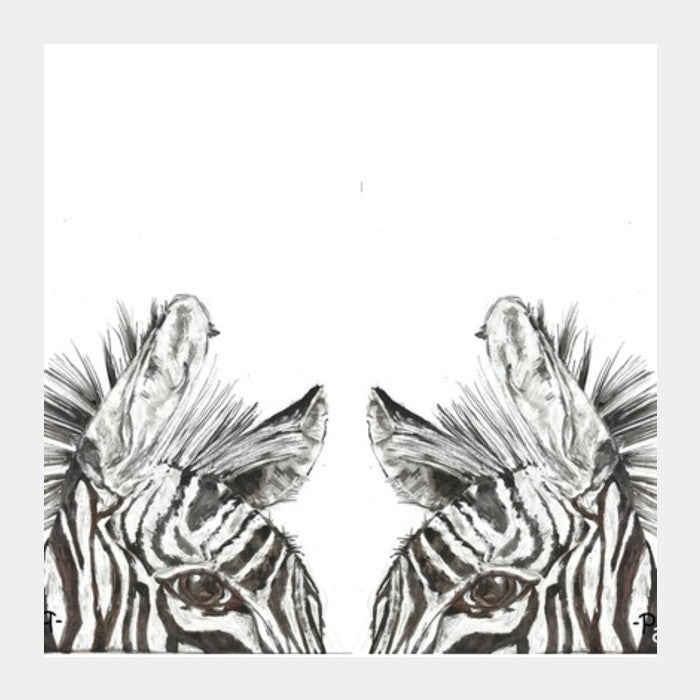 two zebras Square Art Prints