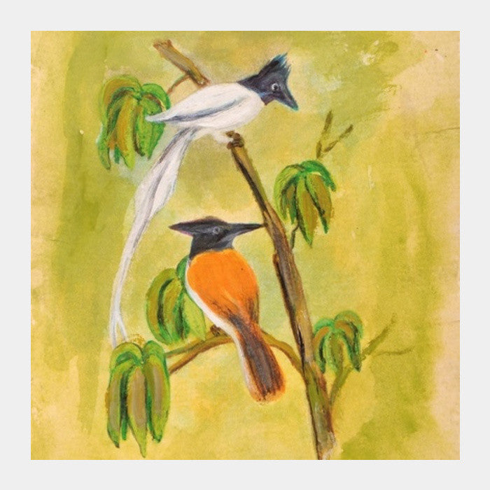 Square Art Prints, birds Square Art Prints