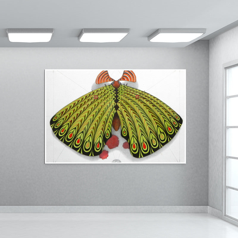 green moth Wall Art