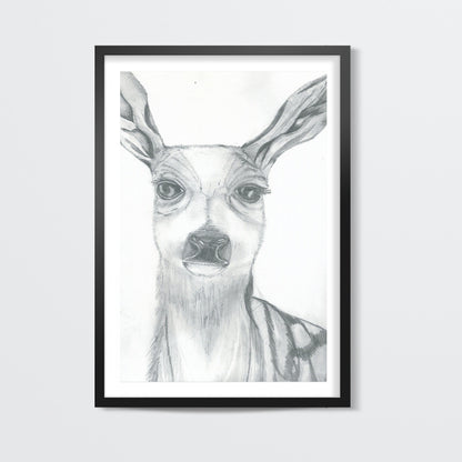 Dear deer Pencil sketch Wall Art