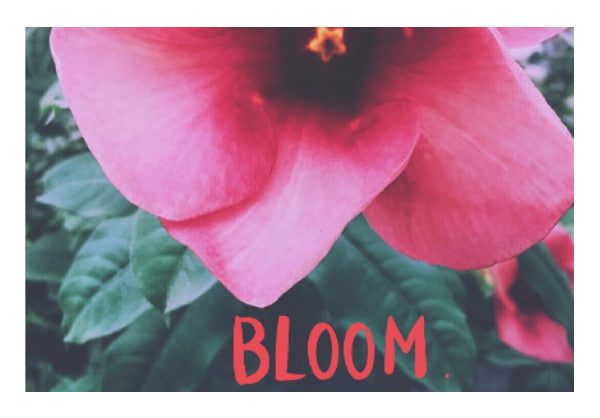 Wall Art, Bloom Artwork