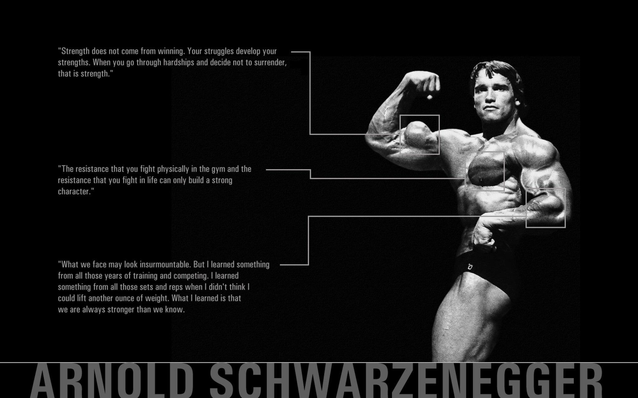 Arnold Quotes Buy High Quality Posters And Framed Posters Online All In One Place Postergully 7642